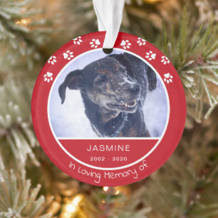Memorial Loss Pet Foto Name Rot Ornament