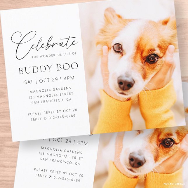 Memorial Modernes Minimalistisch-Chic-Foto Postkarte (Von Creator hochgeladen)