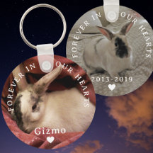 Memorial Pet Bunny Rabbit Zwei Foto | Name | Daten