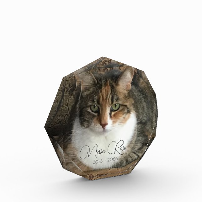 Memorial zum Cat-Foto Fotoblock (Links)