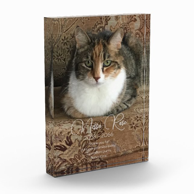 Memorial zum Cat-Foto Fotoblock (Links)