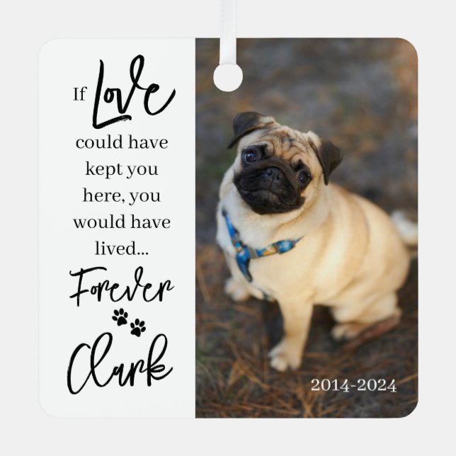 Memorial zum Thema Heimtiere - Foto für Personalis Ornament Aus Metall (Vorderseite)