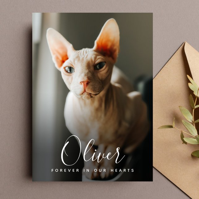 Memorial zur Sympathy-Karte Dankeskarte (Pet Photo Sympathy Card)