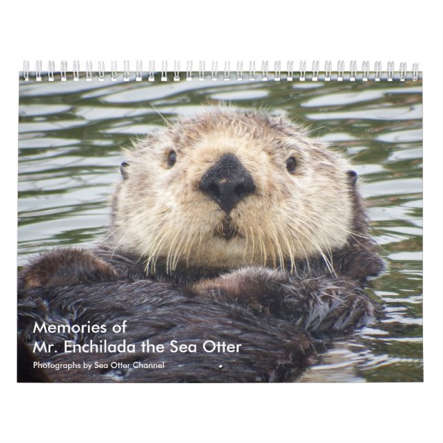Memories of Mr.Enchilada Calendar Kalender (Titelbild)