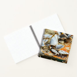 Memories of the shores of Thailand Notizbuch