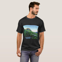 Men Glacier Mountain Meadows Black T - Shirt