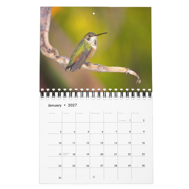 Menagerie Kalender (Jan 2027)