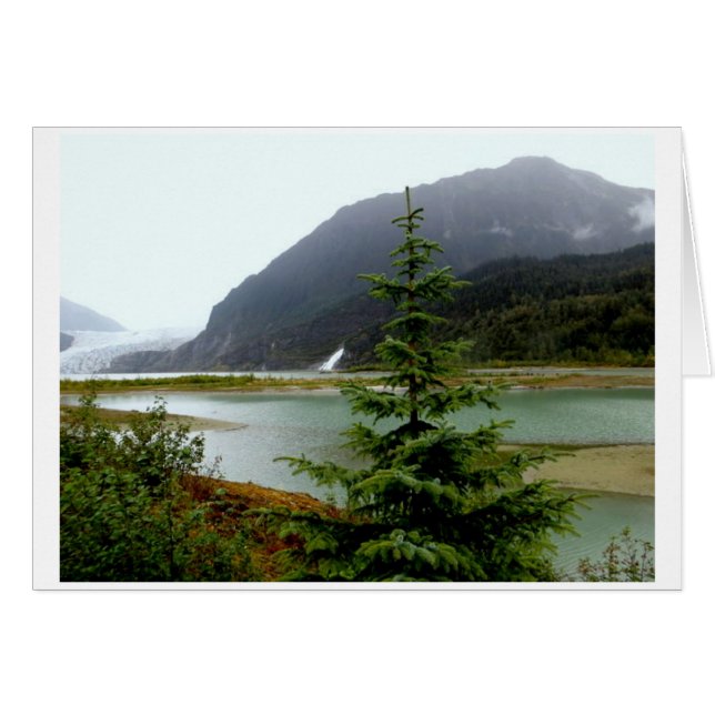 Mendenhall Glacier 2016 (Vorderseite (Horizontal))
