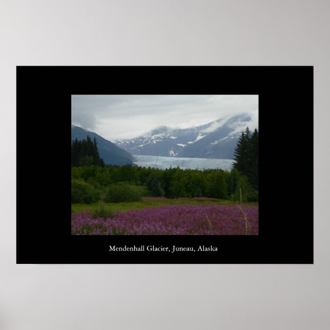 Mendenhall Glacier, Juneau, Alaska Poster (Vorne)
