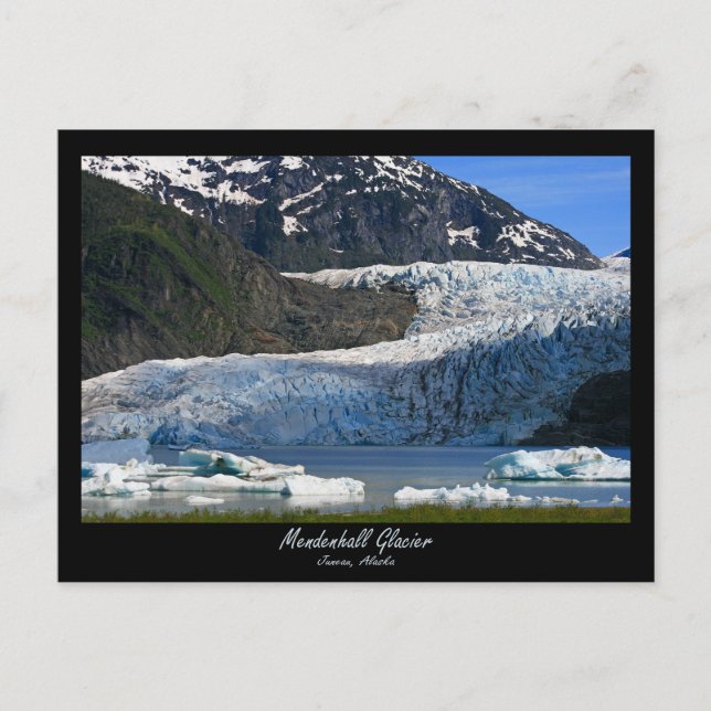 Mendenhall Glacier / Juneau Alaska Postkarte (Vorderseite)