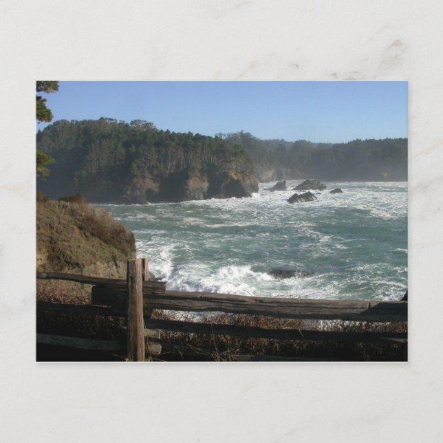Mendocino Coast, CA Postkarte (Vorderseite)