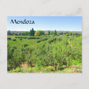 Mendoza grün postkarte