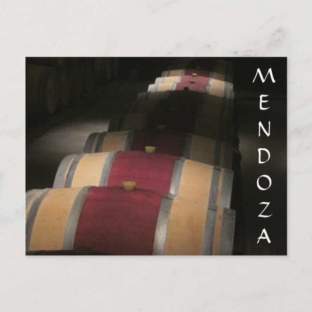 Mendoza vino barrels postkarte (Vorderseite)