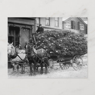 Menge der Weihnachtsbaumen, 1910 Feiertagspostkarte