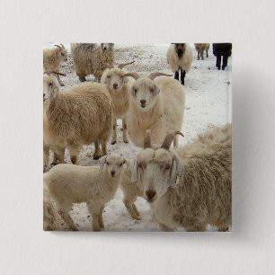 Menge der Ziegen Button