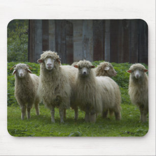 Menge des Ackerlands der Schaf- Mousepad