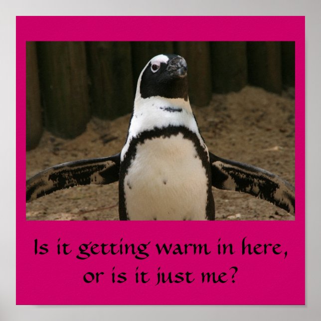 Menopausal Pinguin Poster (Vorne)