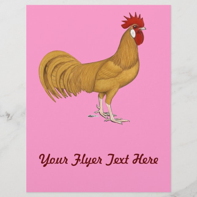Menorca: Buff Rooster Flyer (Vorne)