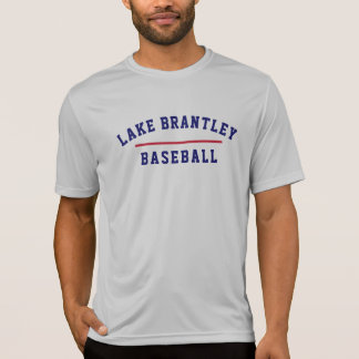 Mens BASEBALL Grauer Kleid T-Shirt