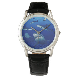 Mens Classic Watch/Sharks Armbanduhr