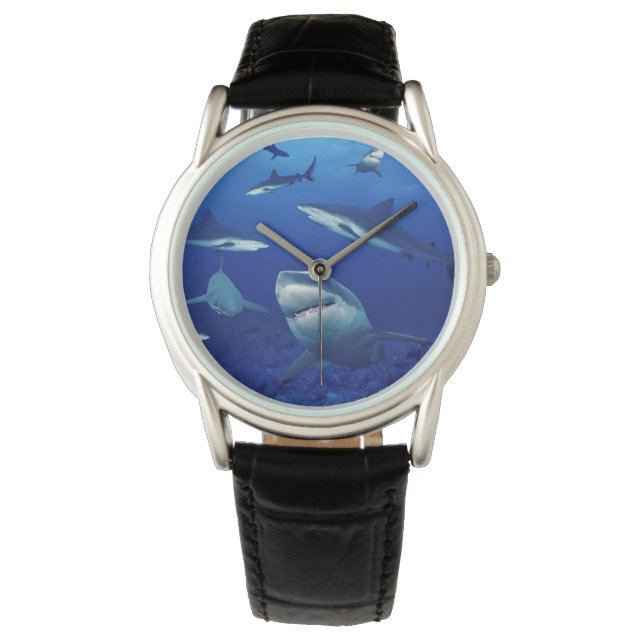 Mens Classic Watch/Sharks Armbanduhr (Vorderseite)