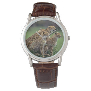 Mens Classic Watch/Wildlife Cheetah Armbanduhr