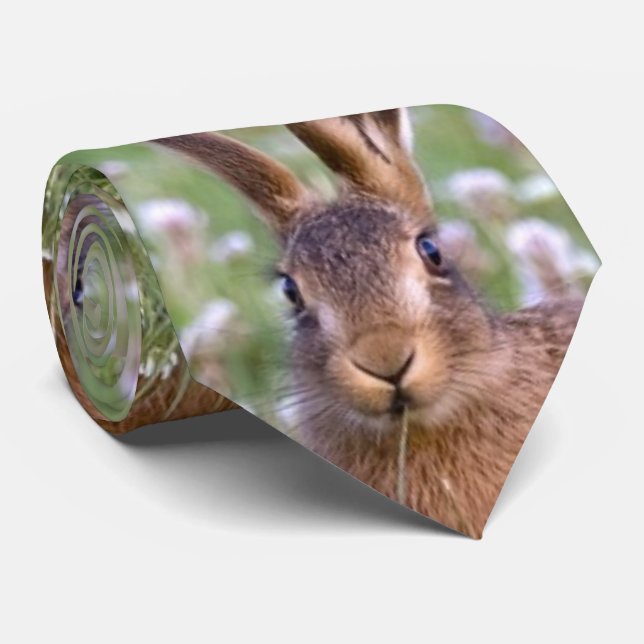 Mens Fashion Wild Rabbit Neck Tie Krawatte (Gerollt)