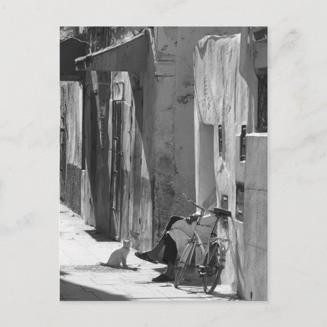 Mensch und Katze Postkarte (Vorderseite)