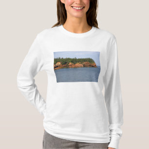 Menschen beim Seepaddeln in der Bay of Fundy bei S T-Shirt