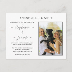 Menschen heiraten Silber-Hochzeitsfoto für Haustie Einladungspostkarte