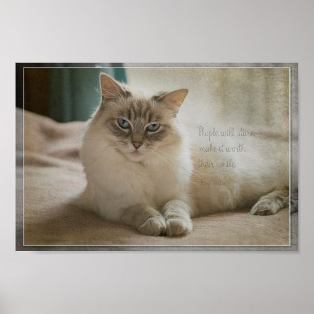 Menschen werden starren poster (Vorne)