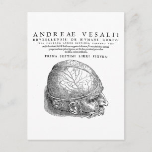 Menschenschädel Postkarte