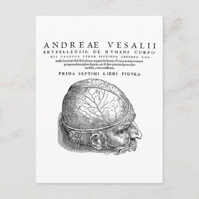 Menschenschädel Postkarte (Vorderseite)