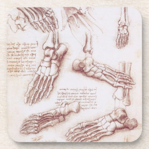 Menschliche Anatomie der Foot Bones von Leonardo d Getränkeuntersetzer