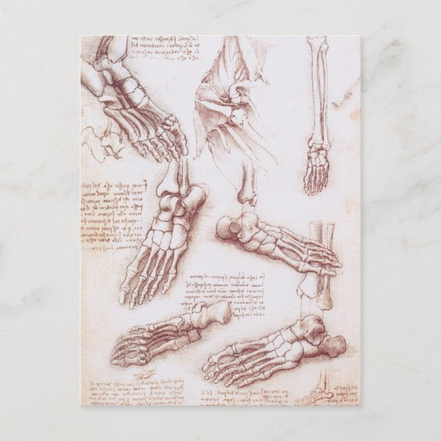 Menschliche Anatomie der Foot Bones von Leonardo d Postkarte (Vorderseite)