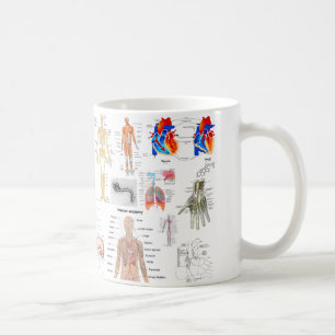 Menschliche Anatomie-Diagramme Kaffeetasse