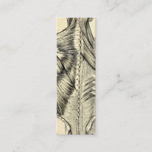 Menschliche Anatomie-Kunst-Rückenmuskel (circa Mini Visitenkarte