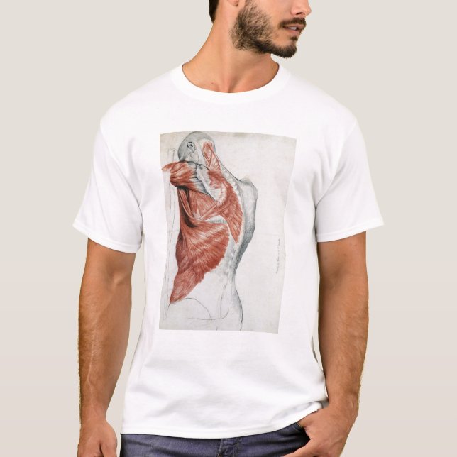 Menschliche Anatomie; Muskeln des Torsos und der T-Shirt (Vorderseite)