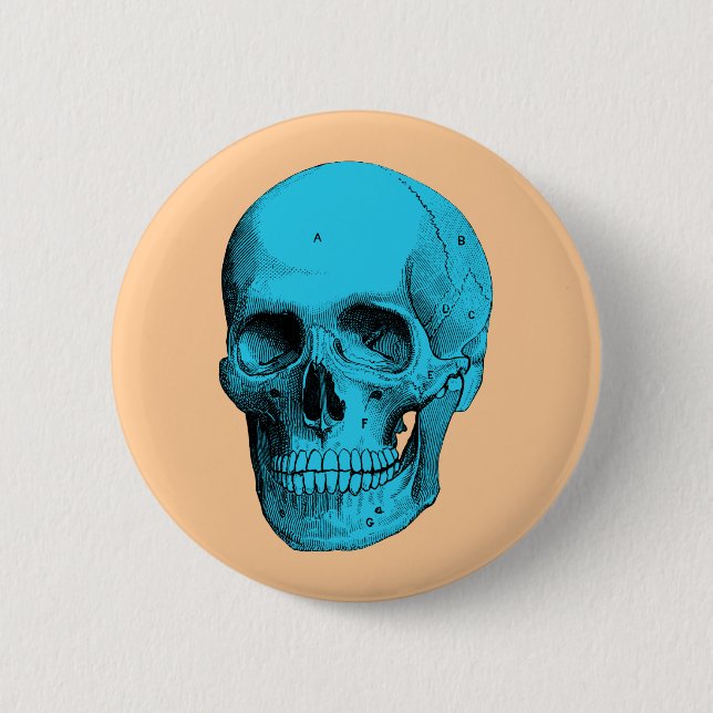 Menschliche Anatomie Schädel Button (Vorderseite)