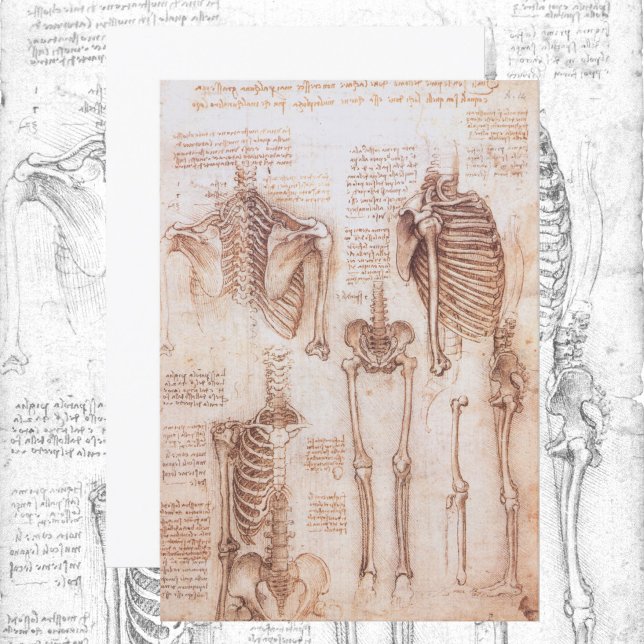 Menschliche Anatomie Skelettknochen von Leonardo d (Von Creator hochgeladen)