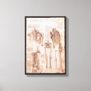 Menschliche Anatomie Skelettknochen von Leonardo d Leinwanddruck
