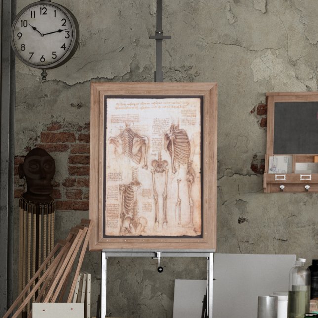 Menschliche Anatomie Skelettknochen von Leonardo d Poster (Von Creator hochgeladen)