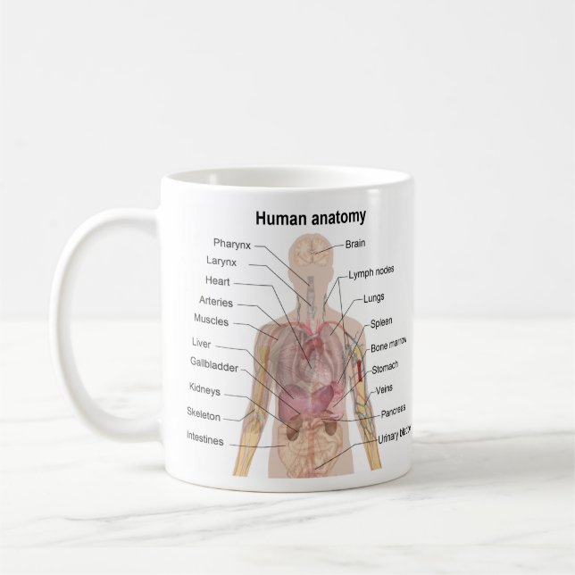Menschliche Anatomie Tasse (Links)
