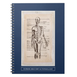 Menschliche Anatomie u. Physiologie besonders Notizblock
