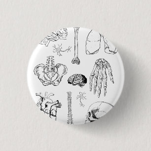 Menschliche Anatomie Vintage-Medizinillustration-S Button