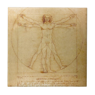 Menschliche Anatomie, Vitruvianischer Mensch von L Fliese