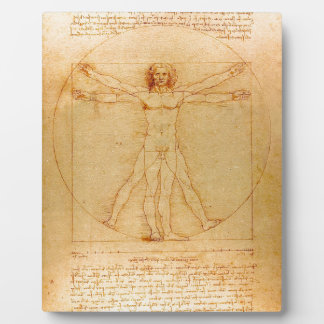 Menschliche Anatomie, Vitruvianischer Mensch von L Fotoplatte