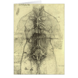 Menschliche Anatomie, weibliche Torso von Leonardo
