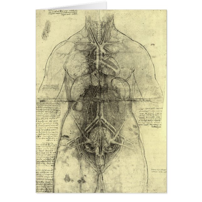Menschliche Anatomie, weibliche Torso von Leonardo (Vorne)