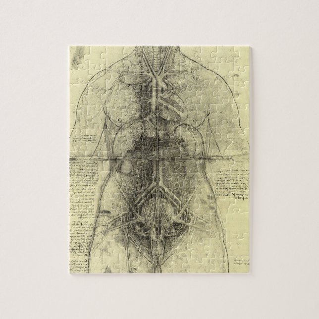 Menschliche Anatomie, weibliche Torso von Leonardo Puzzle (Vertikal)
